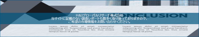 市場調査レポートのイメージ