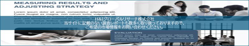 市場調査レポートのイメージ