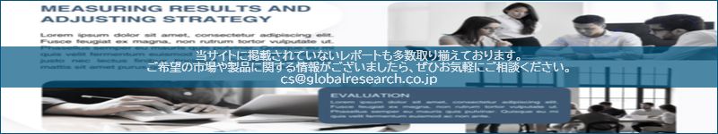 市場調査レポートのイメージ