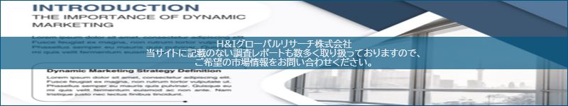 市場調査レポートのイメージ