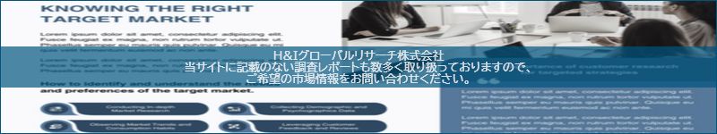 市場調査レポートのイメージ