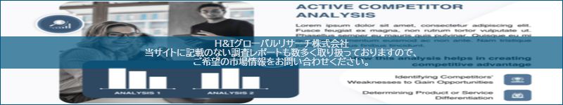市場調査レポートのイメージ