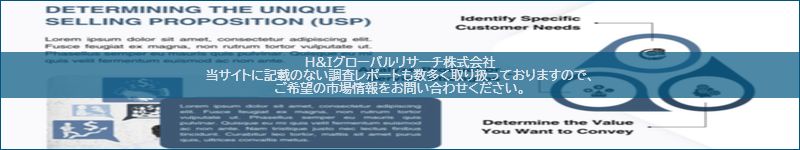 市場調査レポートのイメージ