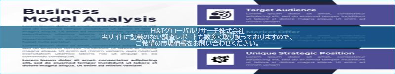 市場調査レポートのイメージ