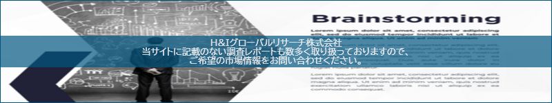 市場調査レポートのイメージ