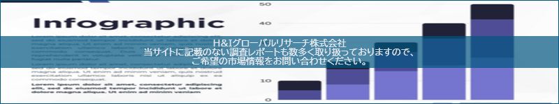 市場調査レポートのイメージ