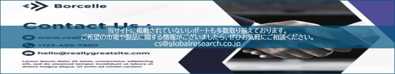 市場調査レポートのイメージ