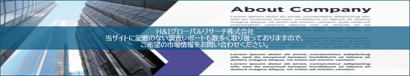 市場調査レポートのイメージ