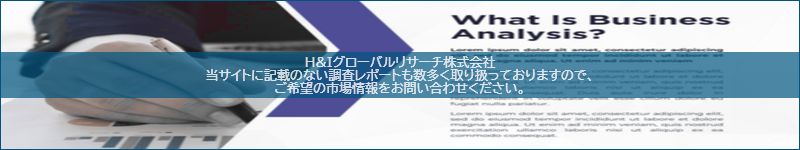 市場調査レポートのイメージ