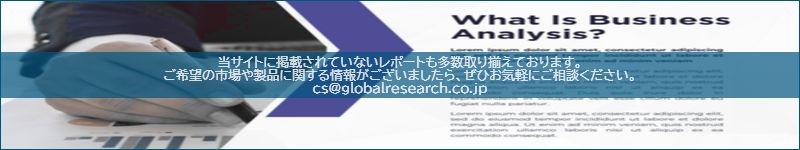 市場調査レポートのイメージ