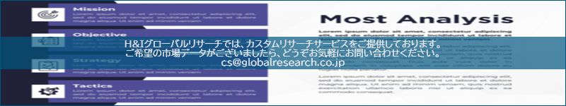 市場調査レポートのイメージ