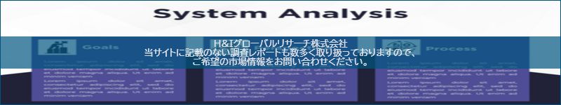 市場調査レポートのイメージ