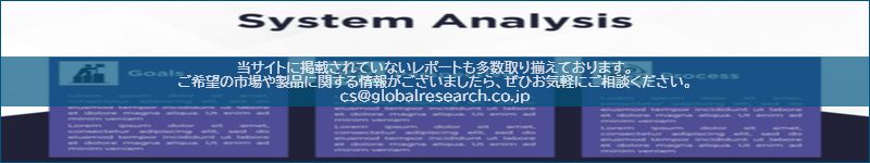 市場調査レポートのイメージ