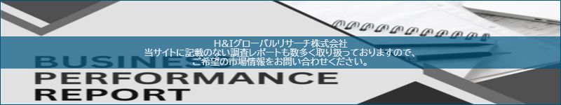 市場調査レポートのイメージ
