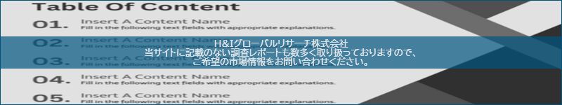 市場調査レポートのイメージ
