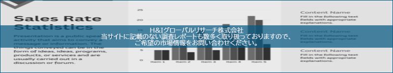 市場調査レポートのイメージ