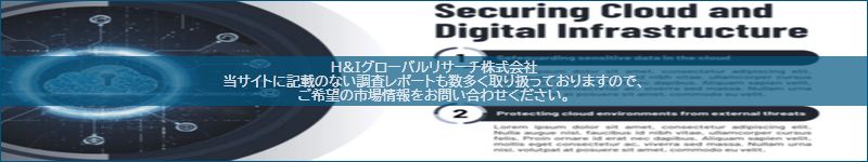 市場調査レポートのイメージ