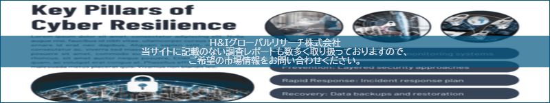 市場調査レポートのイメージ