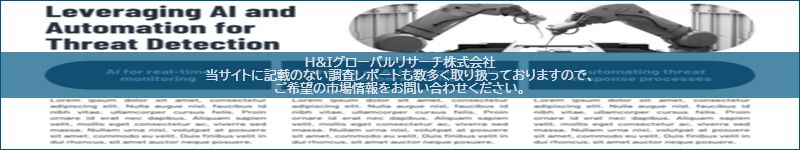 市場調査レポートのイメージ