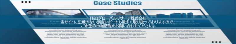 市場調査レポートのイメージ