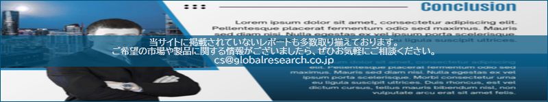市場調査レポートのイメージ