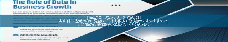 市場調査レポートのイメージ