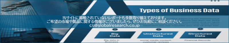 市場調査レポートのイメージ