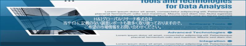 市場調査レポートのイメージ