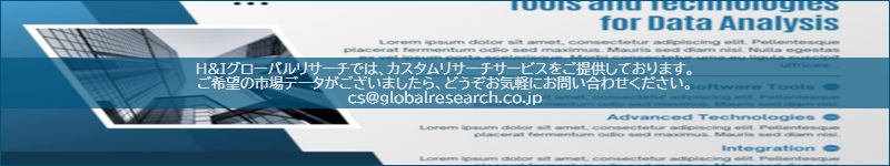 市場調査レポートのイメージ