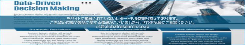 市場調査レポートのイメージ