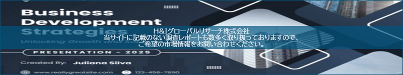 市場調査レポートのイメージ