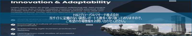 市場調査レポートのイメージ