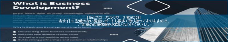 市場調査レポートのイメージ