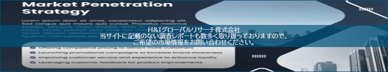 市場調査レポートのイメージ