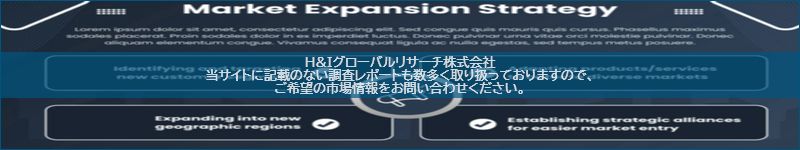 市場調査レポートのイメージ