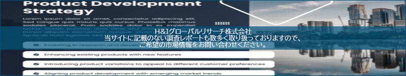 市場調査レポートのイメージ