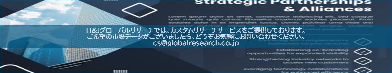 市場調査レポートのイメージ