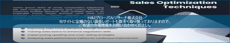 市場調査レポートのイメージ