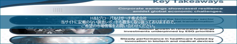 市場調査レポートのイメージ