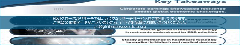 市場調査レポートのイメージ