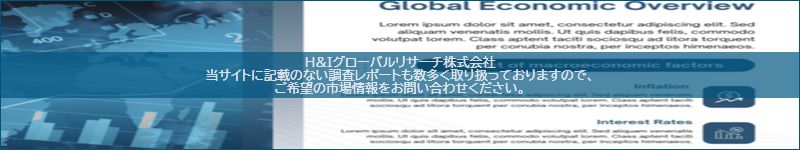 市場調査レポートのイメージ