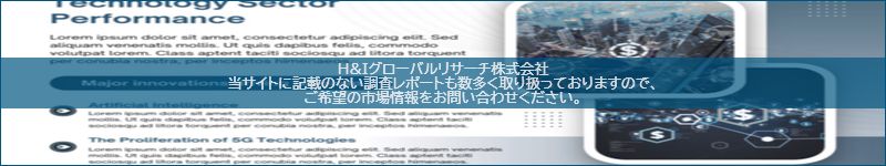 市場調査レポートのイメージ