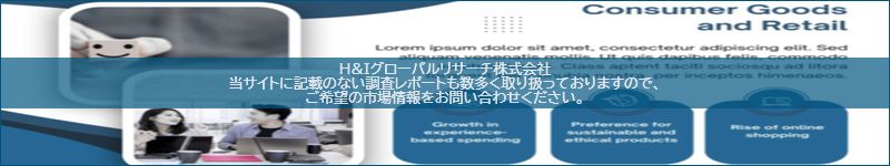 市場調査レポートのイメージ