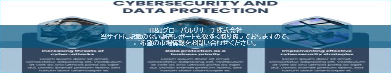 市場調査レポートのイメージ