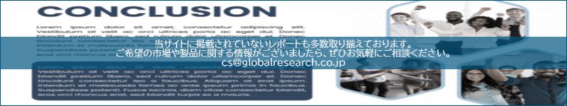 市場調査レポートのイメージ