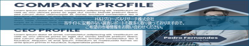 市場調査レポートのイメージ