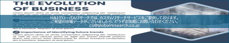 市場調査レポートのイメージ