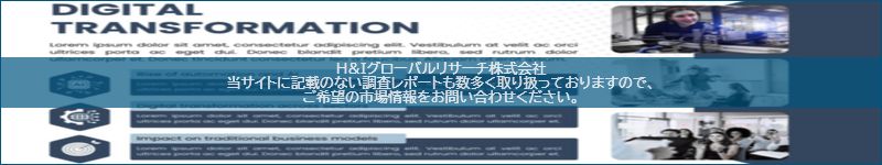 市場調査レポートのイメージ