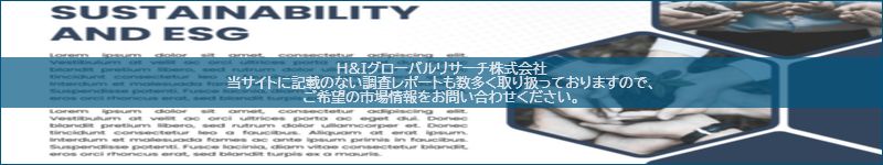 市場調査レポートのイメージ