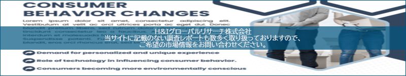 市場調査レポートのイメージ